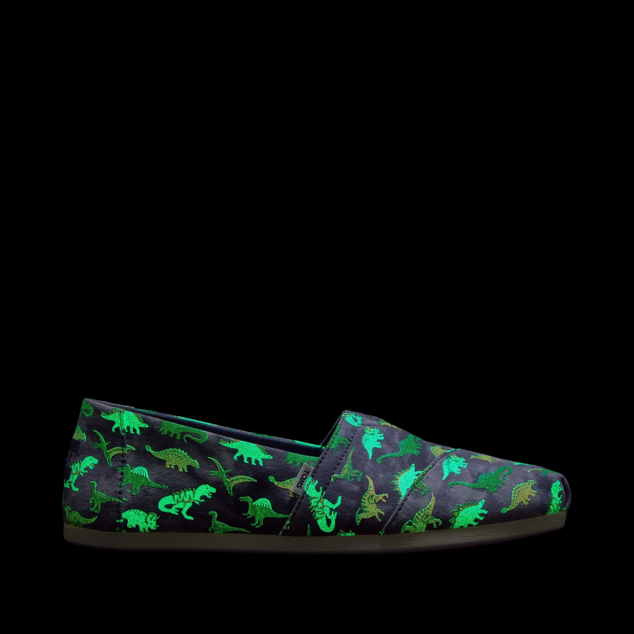 Daily Wear Alpargata Glow in the Dark Dino Print