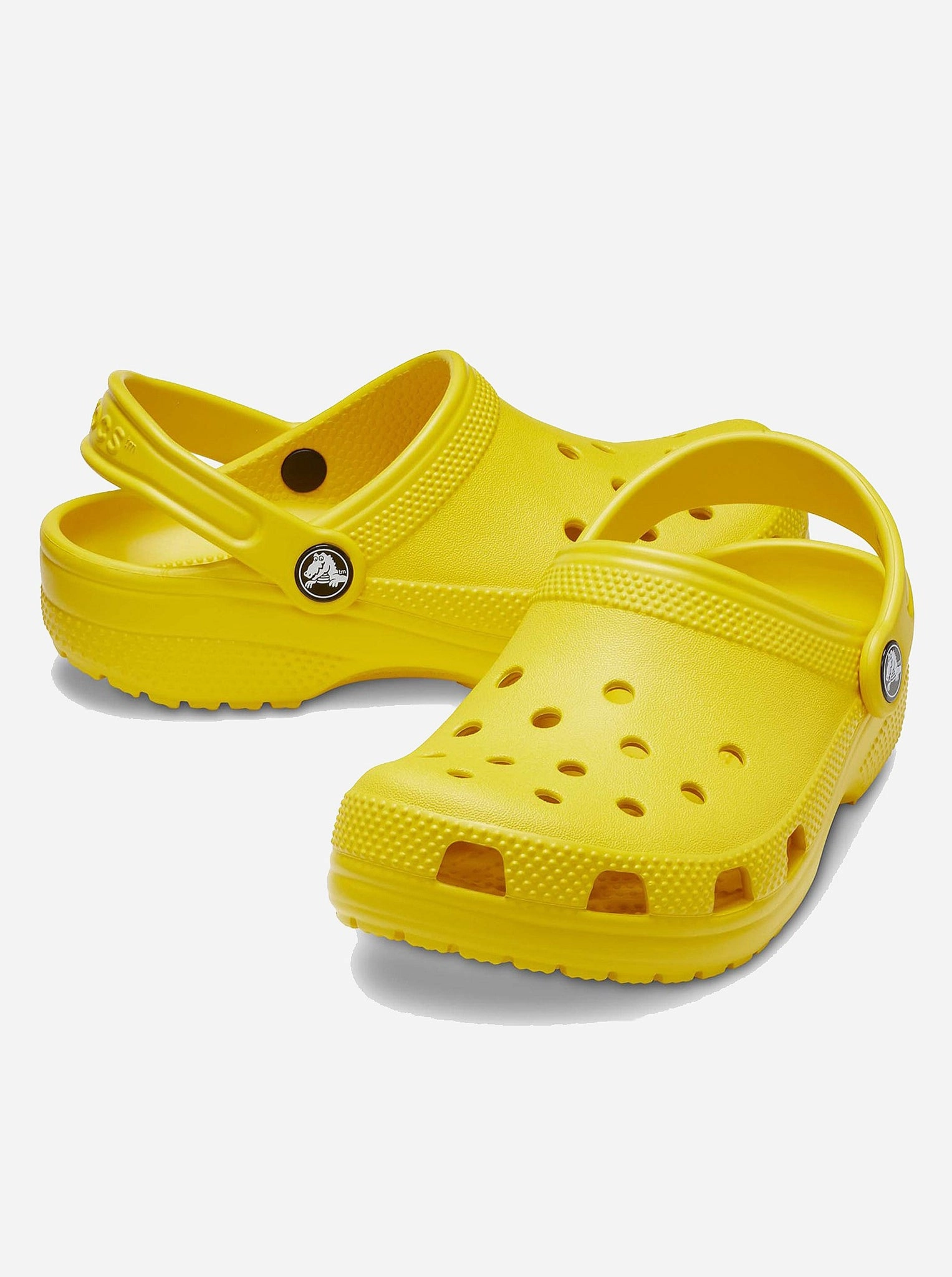 Classic Clog Unisex Vibrant Design