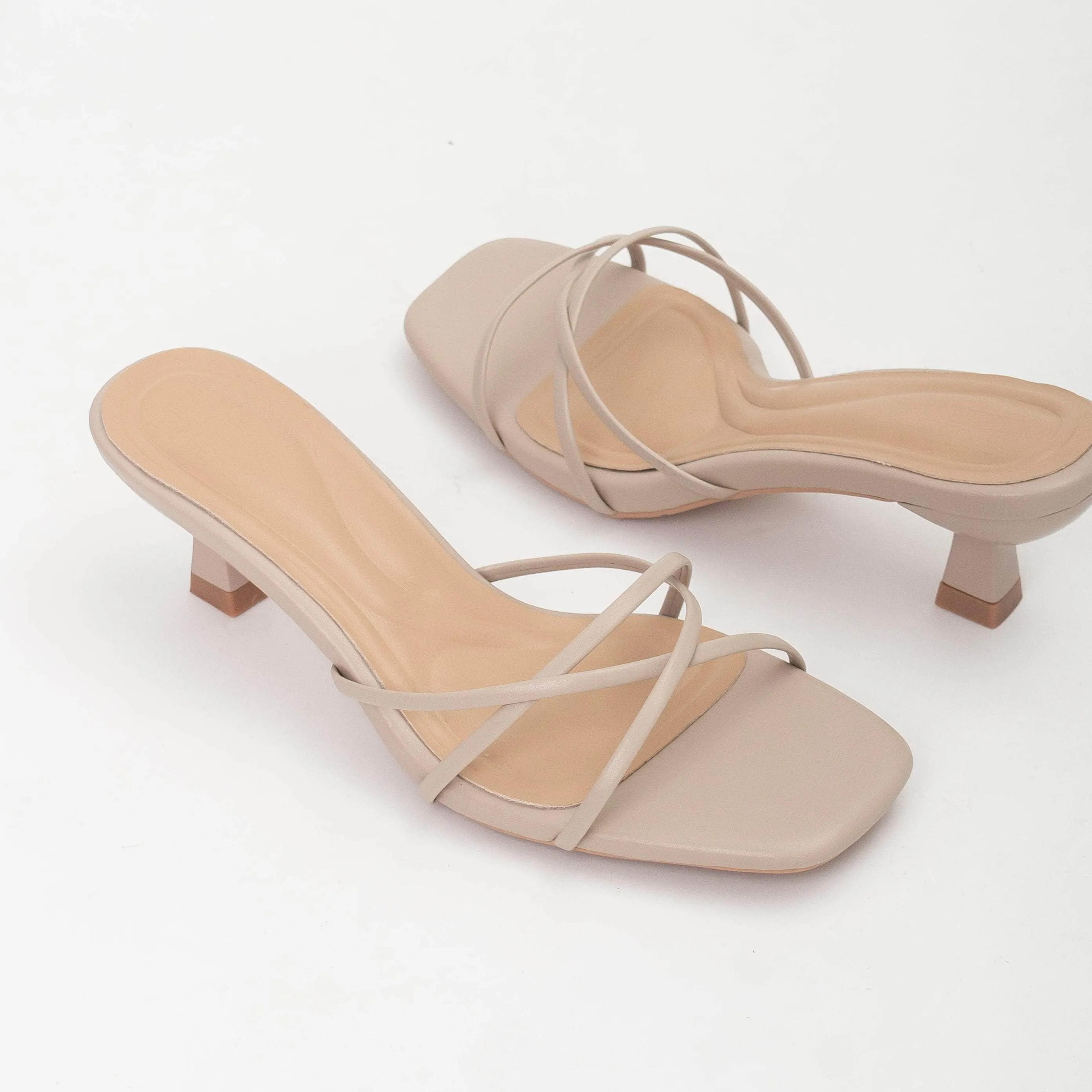 Katya Biscotti Torsional Stability